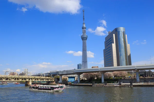 Tokio Skytree i Sumida Rzeka w Tokio — Zdjęcie stockowe