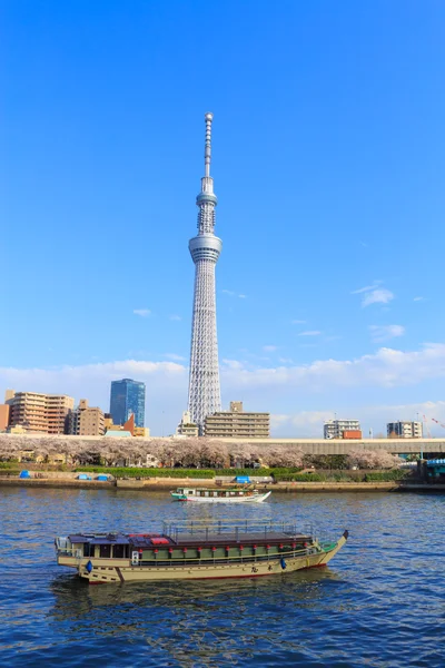 Tokio Skytree i Sumida Rzeka w Tokio — Zdjęcie stockowe