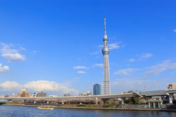 Tokyo Skytree y el río Sumida en Tokio — Foto de Stock