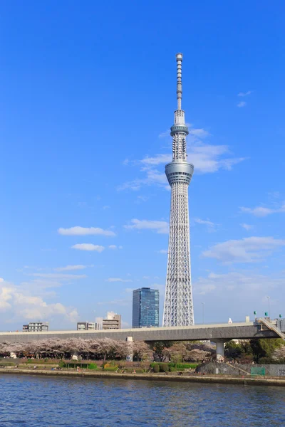 Tokyo Skytree e il fiume Sumida a Tokyo — Foto Stock