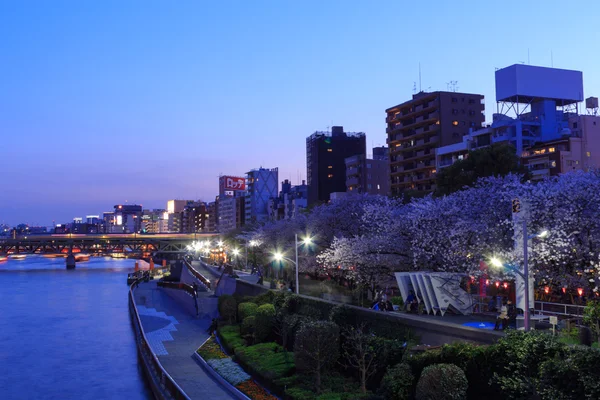 Gratte-ciel et rivière Sumida à Tokyo au crépuscule — Photo