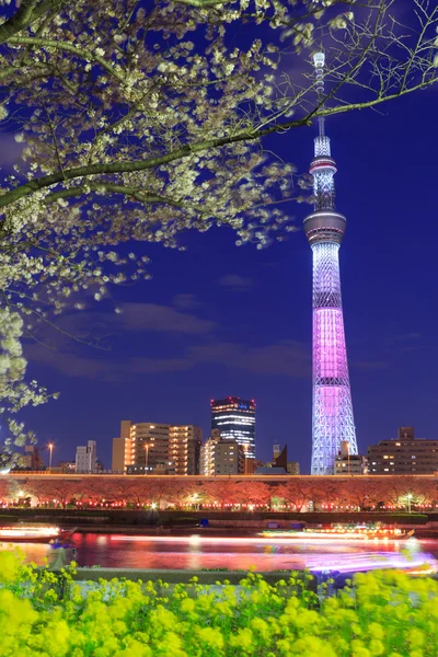 Fiori di ciliegio e lo Skytree di Tokyo a Tokyo di notte — Foto Stock