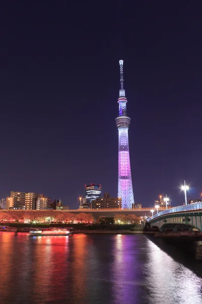 Tokyo Sky Tree and Sumida river in Tokyo at night — Stock Photo, Image