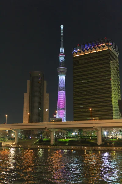 Tokyo Sky Tree and Sumida river in Tokyo at night — Stock Photo, Image