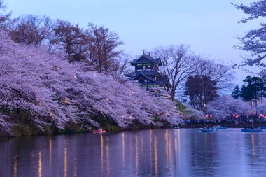 Kiraz çiçekleri ve Takada Castle