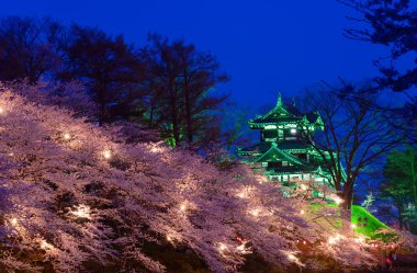 Kiraz çiçekleri ve alacakaranlık Takada Castle