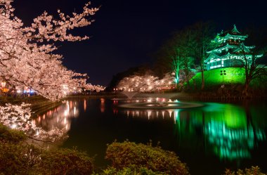 Kiraz çiçekleri ve gece Takada Castle