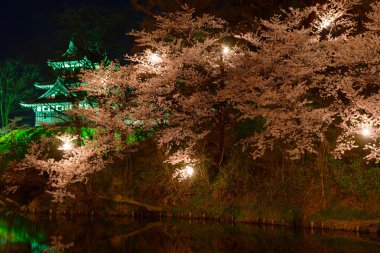 Kiraz çiçekleri ve gece Takada Castle
