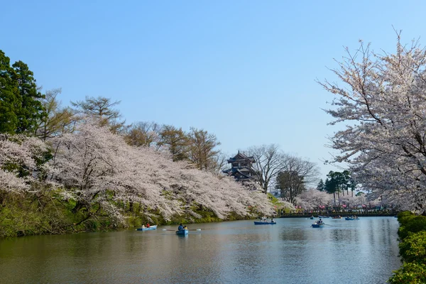 Flores de cerezo y Castillo de Takada — Foto de Stock