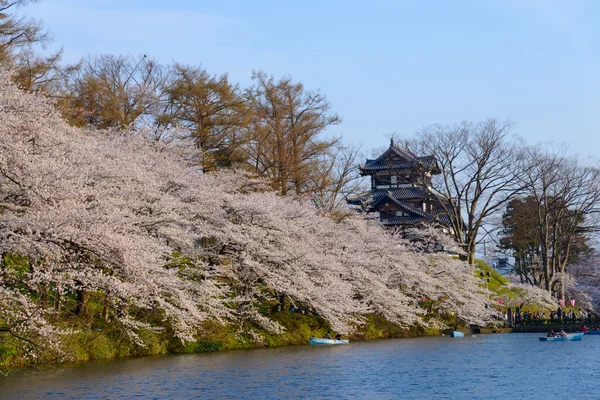 Cherry blossoms and Takada Castle — Stock Photo, Image