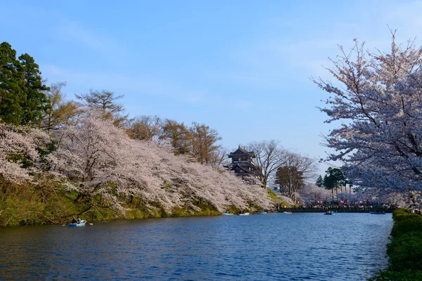 Άνθη κερασιάς και η κάστρο Takada — Φωτογραφία Αρχείου