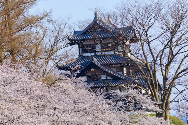 벚꽃과 다카다 성 — 스톡 사진