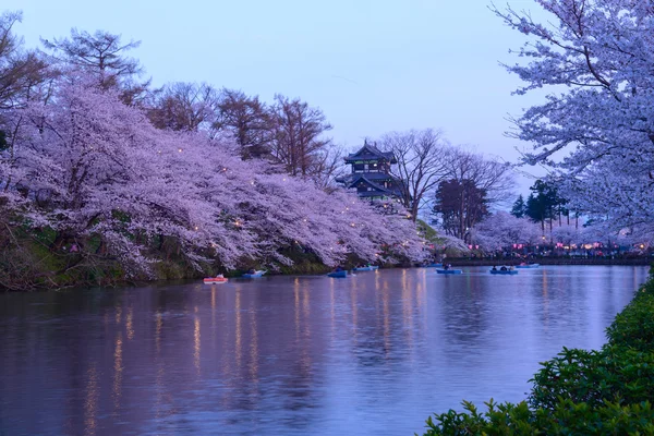 Цветение сакуры и замок Такада — стоковое фото
