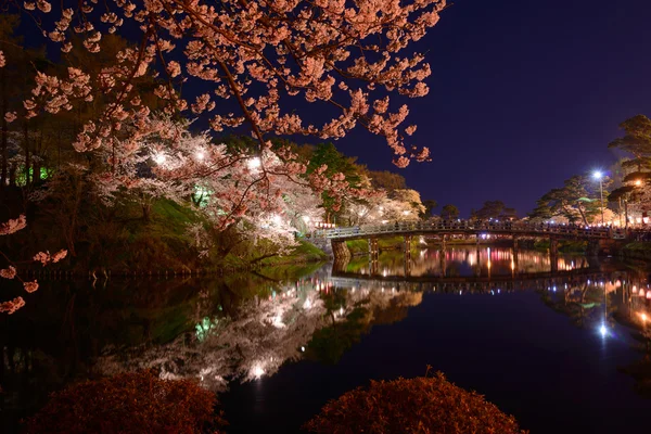 Cherry blossoms and Takada Castle at night — Stock Photo, Image
