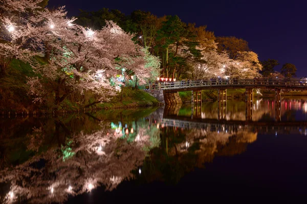 Fleurs de cerisier et Château Takada la nuit — Photo