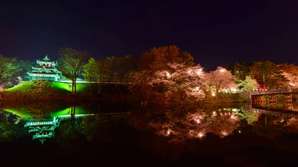 Cherry blossoms and Takada Castle at night — Stock Photo, Image