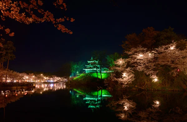 桜の花と夜高田城 — ストック写真