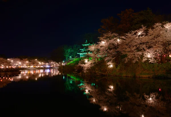 Kirschblüten und Takada-Burg bei Nacht — Stockfoto