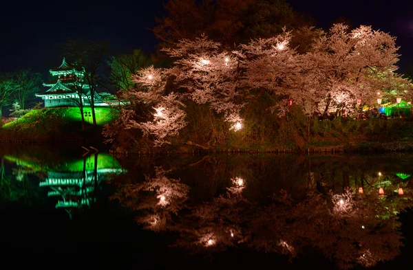 Flores de cerezo y el castillo de Takada por la noche —  Fotos de Stock