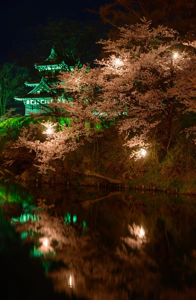 Kirschblüten und Takada-Burg bei Nacht — Stockfoto