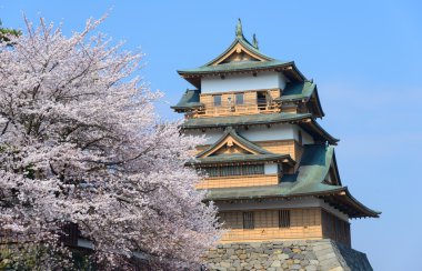 Kiraz çiçekleri ve Takashima Kalesi