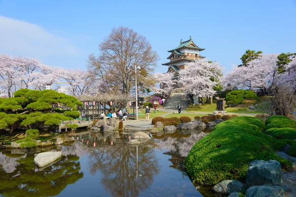 Třešňové květy a Takashima hrad — Stock fotografie