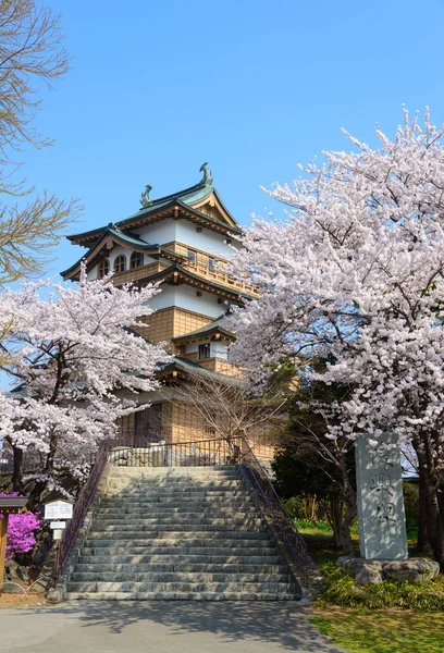 Цветение сакуры и замок Такасима — стоковое фото