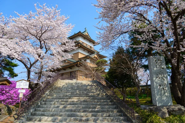 Třešňové květy a Takashima hrad — Stock fotografie