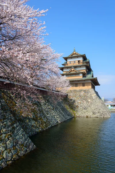 Cherry blossoms and the Takashima Castle — Stock Photo, Image