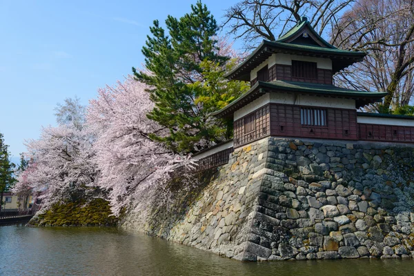 Flores de cerejeira e o Castelo de Takashima — Fotografia de Stock