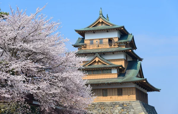 Cherry blossoms and the Takashima Castle — Stock Photo, Image