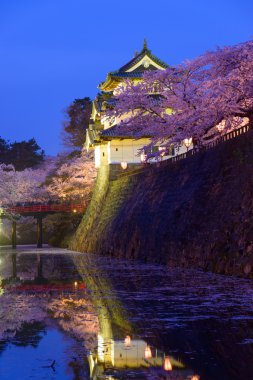 Cherry blossoms at Hirosaki Park clipart