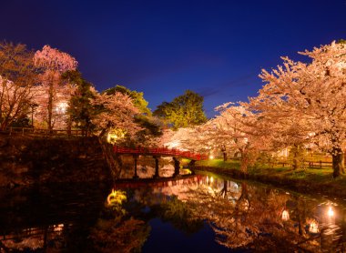 Hirosaki Park'ta kiraz çiçekleri