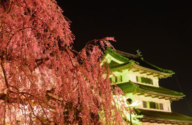 Kiraz çiçekleri ve Hirosaki Kalesi