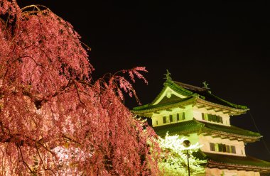 Kiraz çiçekleri ve Hirosaki Kalesi