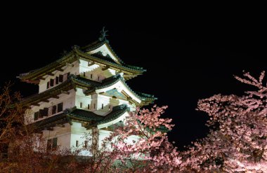 Kiraz çiçekleri ve Hirosaki Kalesi