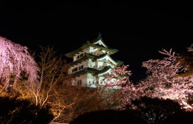 Kiraz çiçekleri ve Hirosaki Kalesi