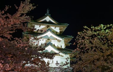 Kiraz çiçekleri ve Hirosaki Kalesi