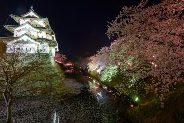 Kiraz çiçekleri ve Hirosaki Kalesi