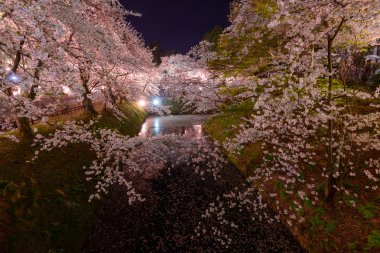 Kiraz çiçekleri ve Hirosaki Parkı