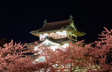 Kiraz çiçekleri ve Hirosaki Kalesi