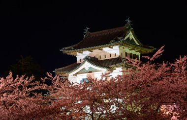 Kiraz çiçekleri ve Hirosaki Kalesi