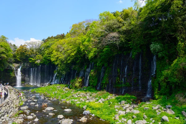 Shiraito cai — Fotografia de Stock