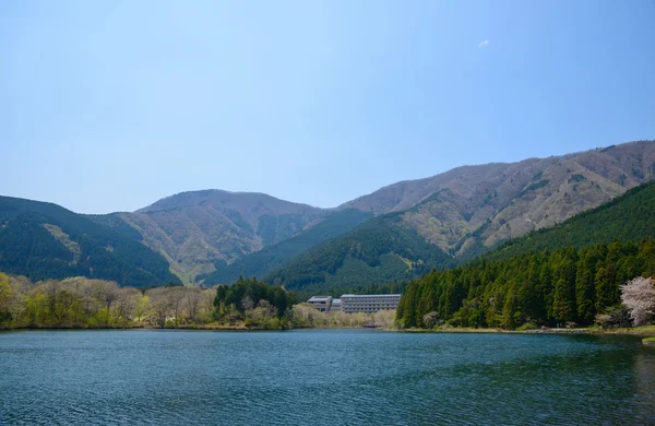 Tó Tanuki a Fujinomiya, Shizuoka, Japán — Stock Fotó