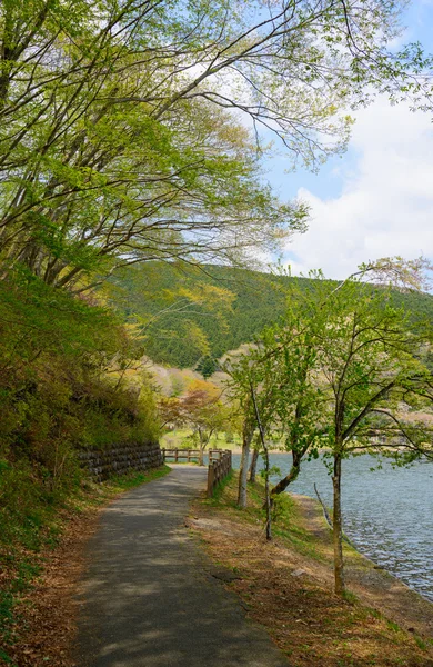 在富士宫，日本静冈田贯湖 — 图库照片