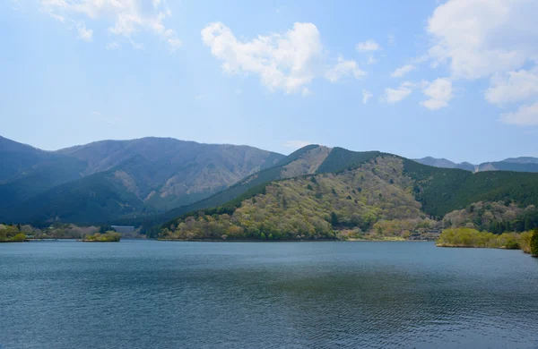 Tanuki-søen i Fujinomiya, Shizuoka, Japan - Stock-foto