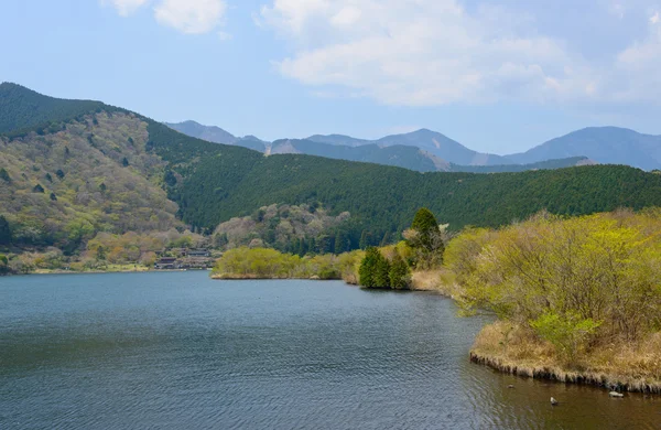 Tanuki-søen i Fujinomiya, Shizuoka, Japan - Stock-foto