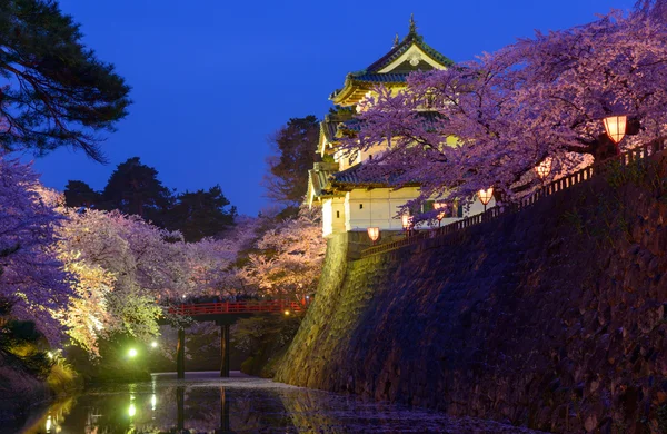 Hirosaki Park'ta kiraz çiçekleri — Stok fotoğraf