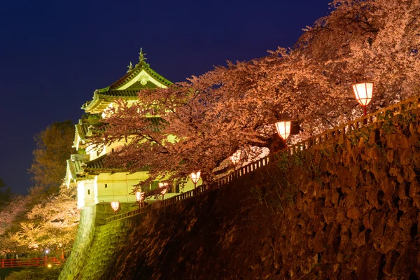 Hirosaki Park'ta kiraz çiçekleri — Stok fotoğraf