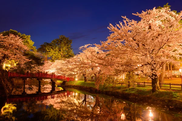 Fiori di ciliegio al Parco Hirosaki — Foto Stock